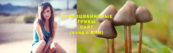 спайс Алексеевка