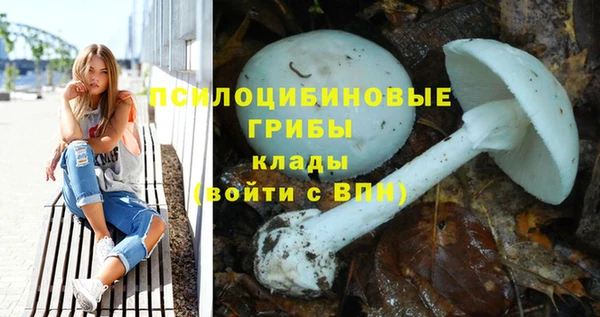 спайс Алексеевка
