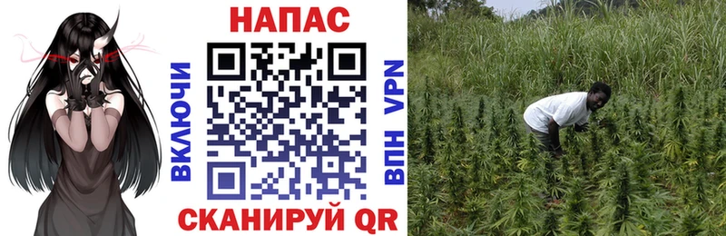 Конопля LSD WEED  гидра маркетплейс  Темрюк  сколько стоит 